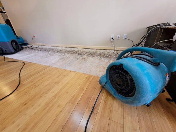 Professional Basement Flood Cleanup technician working in New Sharon, ME
